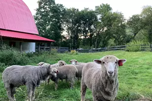 36415 Homer Valley Ln, Homer, MN 55987 - Photo 82