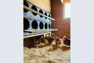 36415  Homer Valley Ln, Homer, MN 55987 - Photo 84