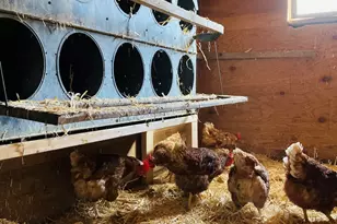 36415 Homer Valley Ln, Homer, MN 55987 - Photo 84