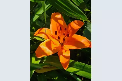 N5851  County Road A -, Oak Grove, WI 53039 - Photo 52