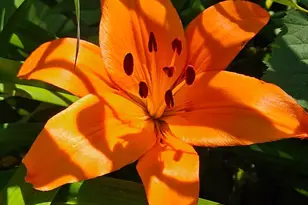 N5851 County Road A -, Oak Grove, WI 53039 - Photo 52