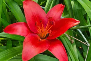 N5851 County Road A -, Oak Grove, WI 53039 - Photo 54