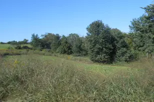 S4102 N Elk Run Rd, Webster, WI 54639 - Photo 6