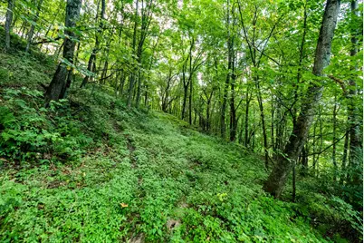 11565  US Highway 18 -, Patch Grove, WI 53821 - Photo 54