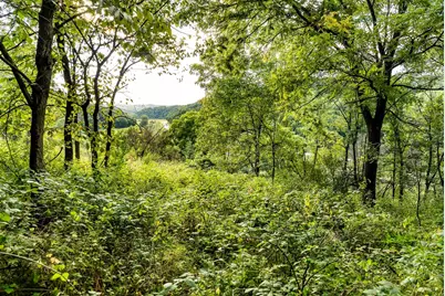 11565  US Highway 18 -, Patch Grove, WI 53821 - Photo 48