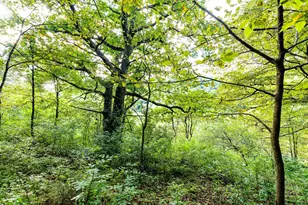 11565 US Hwy 18 -, Patch Grove, WI 53821 - Photo 46