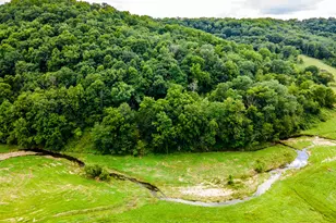 11565 US Hwy 18 -, Patch Grove, WI 53821 - Photo 40