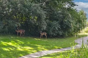 8601 N Servite Dr, Milwaukee, WI 53223 - Photo 42