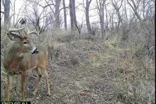 N8718 Co Rd VV, Farmington, WI 54644 - Photo 50