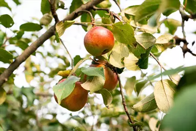 65416  Desoto Bluffs Dr, Freeman, WI 54624 - Photo 34