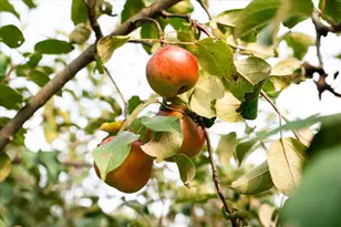 65416 Desoto Bluffs Dr, Freeman, WI 54624 - Photo 34