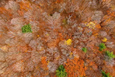 Lt1  Carstens Lake Rd, Eaton, WI 53042 - Photo 10