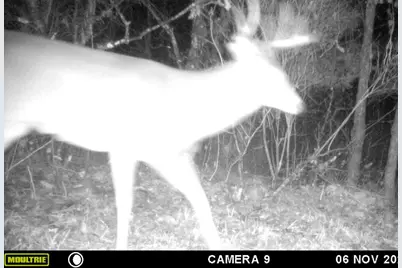 W902  County Road A -, Burns, WI 54644 - Photo 48