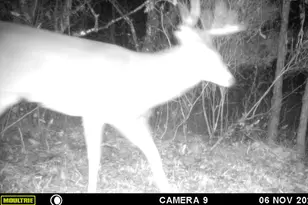 W902 Co Rd A, Burns, WI 54644 - Photo 48