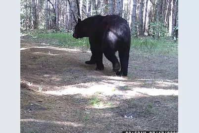 W902  County Road A -, Burns, WI 54644 - Photo 52