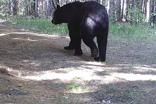 W902 Co Rd A, Burns, WI 54644 - Photo 52