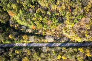 17161 Co Hwy F, Sheldon, WI 54648 - Photo 62