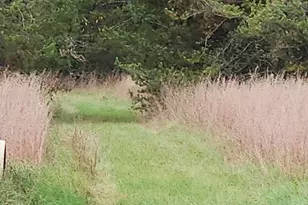 N2743 County Rd O, Knapp, WI 54666 - Photo 34