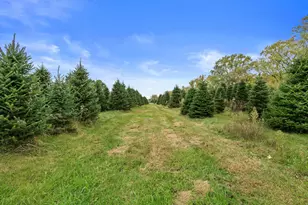 N9171 Nelson Rd, La Grange, WI 53120 - Photo 32