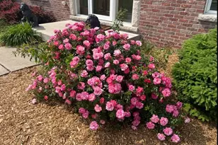 25812 91st St, Salem Lakes, WI 53168 - Photo 42