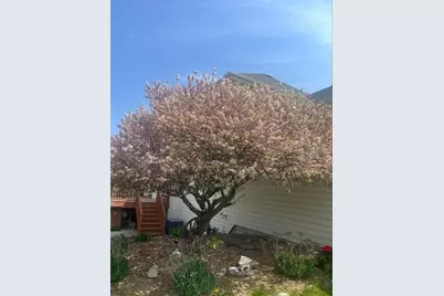 25812  91st St, Salem Lakes, WI 53168 - Photo 46