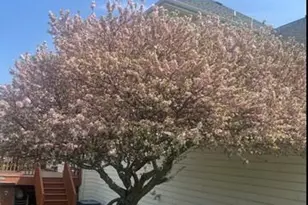 25812 91st St, Salem Lakes, WI 53168 - Photo 46