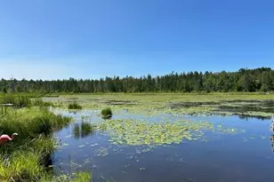 8444 Mast Dr, Minocqua, WI 54548 - Photo 18