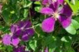 N6061 Summerglow Trail, Onalaska, WI 54650 - Photo 36