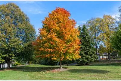 18710  Follett Dr, Brookfield, WI 53045 - Photo 4