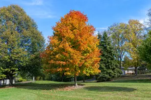 18710 Follett Dr, Brookfield, WI 53045 - Photo 4