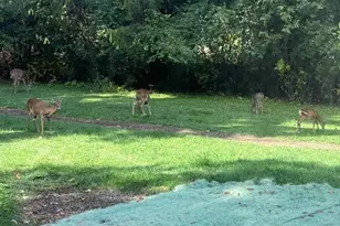 W204N9269 Lannon Rd, Menomonee Falls, WI 53051 - Photo 70