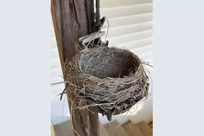 N5056  State Road 162 -, Burns, WI 54614 - Photo 48