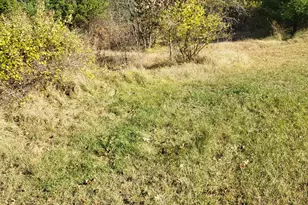 N11612 10th Ave, Necedah, WI 54646 - Photo 10