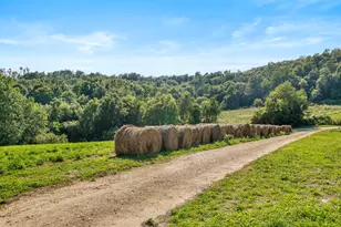 W10864 Santas Loop Rd, Wonewoc, WI 53968 - Photo 28