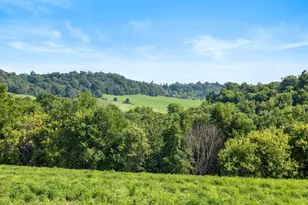 W10864 Santas Loop Rd, Wonewoc, WI 53968 - Photo 4