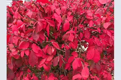 1712  28th St, Two Rivers, WI 54241 - Photo 26