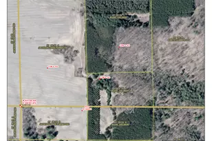 E516 Rustad Rd, Harrison, WI 54945 - Photo 2