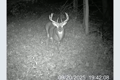 25005  Norhardt Ave, Wellington, WI 54651 - Photo 30