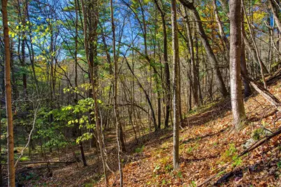 25005  Norhardt Ave, Wellington, WI 54651 - Photo 36