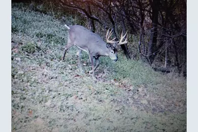 25005  Norhardt Ave, Wellington, WI 54651 - Photo 2