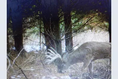 25005  Norhardt Ave, Wellington, WI 54651 - Photo 10