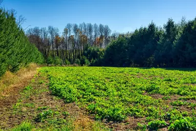 25005  Norhardt Ave, Wellington, WI 54651 - Photo 38