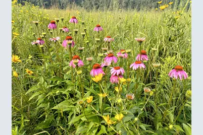 25005  Norhardt Ave, Wellington, WI 54651 - Photo 18