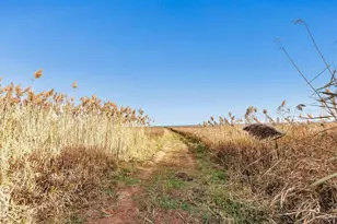 17707 Lakeshore Rd, Two Creeks, WI 54241 - Photo 32