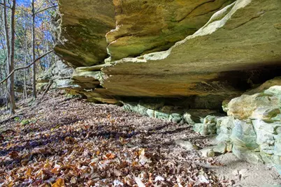 25024  Norhardt Ave, Wellington, WI 54651 - Photo 72