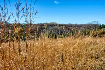 25024  Norhardt Ave, Wellington, WI 54651 - Photo 6