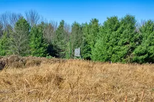 25024 Norhardt Ave, Wellington, WI 54651 - Photo 4