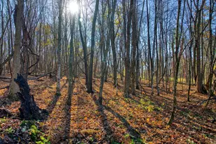 25024 Norhardt Ave, Wellington, WI 54651 - Photo 60