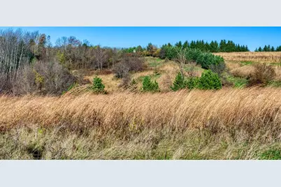 25024  Norhardt Ave, Wellington, WI 54651 - Photo 6