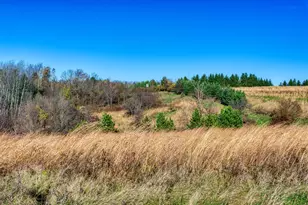 25024 Norhardt Ave, Wellington, WI 54651 - Photo 6